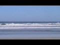 12-30-09 Coconut Harrys Surf Report