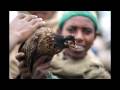 Reportage multimedia - la "Route chinoise", en ...