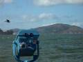 videos de At the Pier