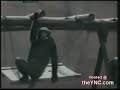 Smoking Chimp