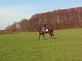 séance 30 mars- incurvation séance 30 mars- incurvation