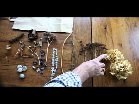 Still Life Photography Tutorial from My PhotoNetWorks