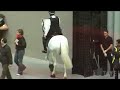 TateShots Issue 11 - Tania Bruguera