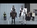 TateShots Issue 11 - Tania Bruguera