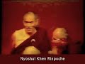 Nyoshul Khen Rinpoche