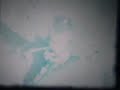 Micronauts home movie circa 1980