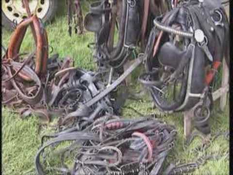 A Gypsy Gathering at Appleby Horse Fair - preview