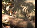 rainforest-lodge-deniyaya-german.html
