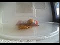 MicrowaveCam.com - Soy Sauce MicrowaveCam.com - Soy Sauce