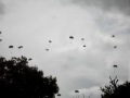 videos de 65th Anniversary of D-Day Airdrop Over Ste Mere Eglise, Normandy, France 2 of 2
