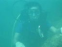 Diving in Bali 7