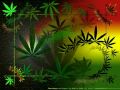 REGGAE - ReggaeMan - Pozytywnie REGGAE - ReggaeMan - Pozytywnie