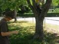 How Not To Climb A Tree