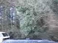 Lanes of Devon - Part 1