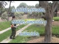 MANTENIMIENTO DE JARDINES