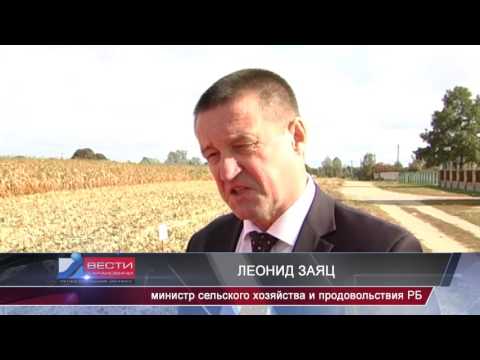 Вести Барановичи  27 сентября