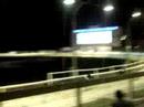 Dog Racing!