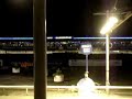 Dog Racing!