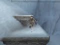 Tomb Raider Legend: Nepal speedrun 4:41