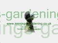 Jennings-Gardening slideshow.wmv