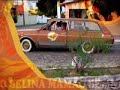 propaganda da Belina Mam�o