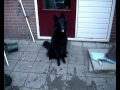 Leuke spelletjes