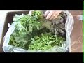 Fresh Produce Without Oil