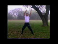 Taiji Shen Gong