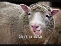 DOLLY! ¨La muñeca de madera¨