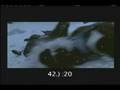 videos de Horse Whisperer Example