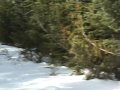 watershed&gravelpit scout 12-5-09.wmv