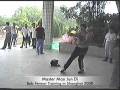 videos de Lung-Hsing Bagua Zhang,10