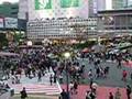Shibuya crossing