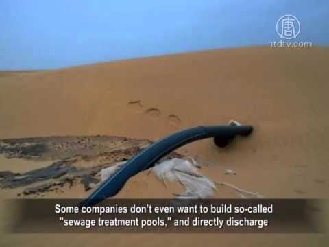 how to perform phenol coefficient test