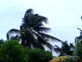 Rana Ruelan in PVC, Masbate