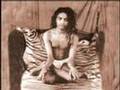 Shivabalayogi his Tapas