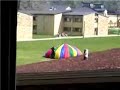 1 Cop vs. 25 Stoners