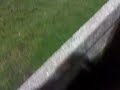 LTFC vs GWR - 1st goal.
