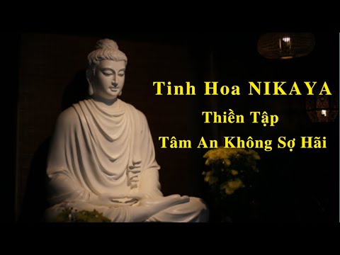 Tinh Hoa NIKAYA - Thiền Tập Tâm An Không Sợ Hãi