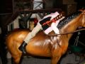 Breyer Jump Off / Always where your helmet! LOL! :)