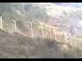 videos de Winchester.3gp