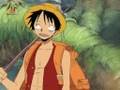 videos de One Piece Crazy Luffy