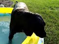 Bath-time