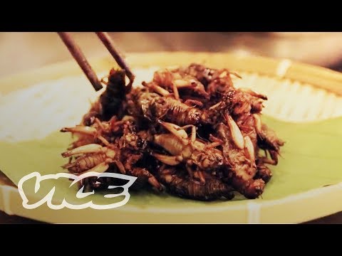 Inside China's Bug-Eating Industry (Part 1)