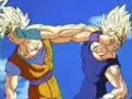 DBZ - Rammstein - Tier DBZ - Rammstein - Tier