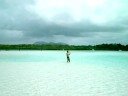 Mauritius - Isola dei cervi