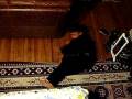 videos de Gabriel leaping