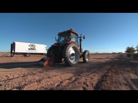 Cancer - Patients at Cancer Treatment Centers of America work in a garden to grow food that will be turned into tasty dishes. For more CNN videos, visit our site at h...