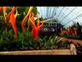 Phipps Conservatory