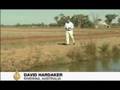 Australia's drought-stricken rice fields - 23 April 2008